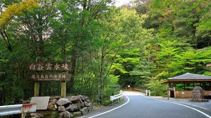 Welcome to Shiratani Unsuikyo Trail!!