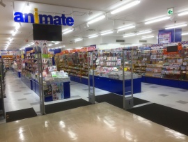 Animate 