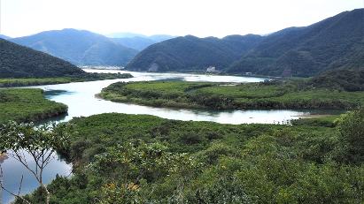 Mangrove Forest Route!