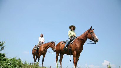 Riding Horses!