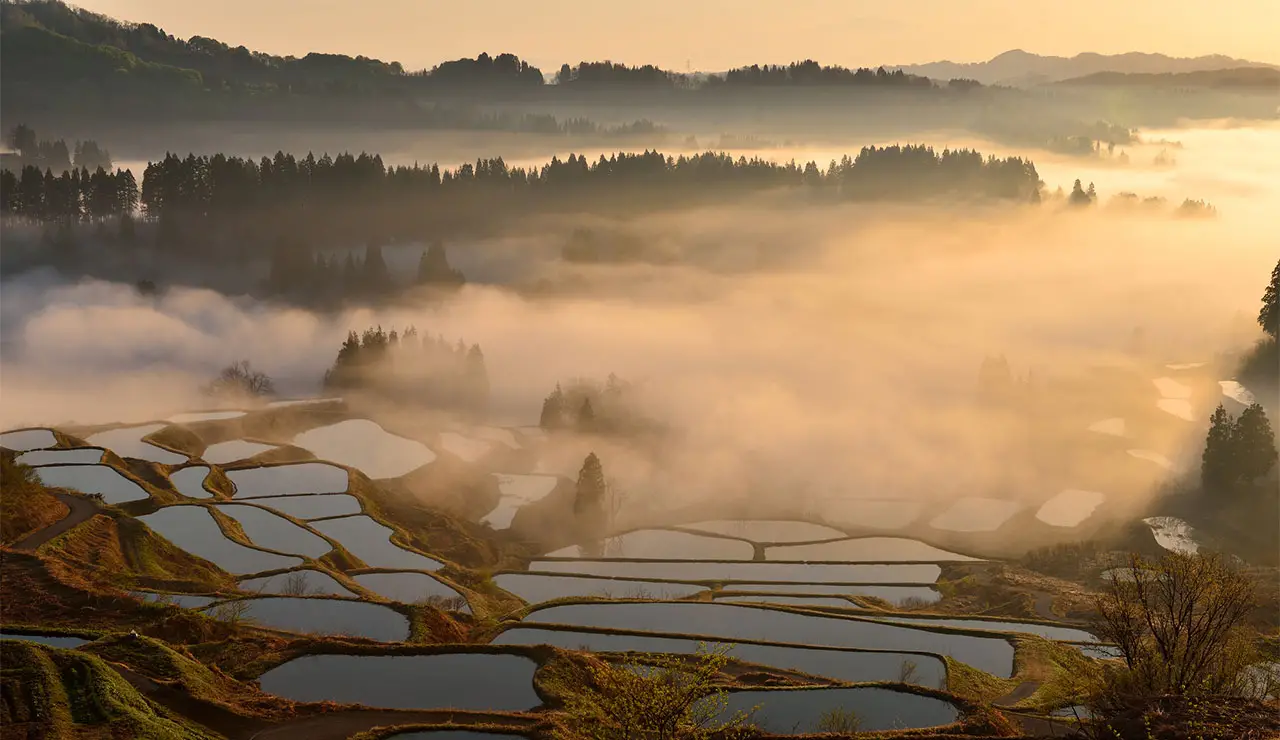 Rice terraces at Hoshitouge