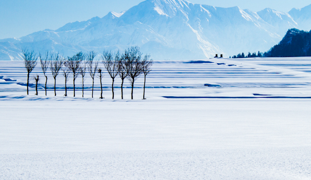 Winter in Niigata