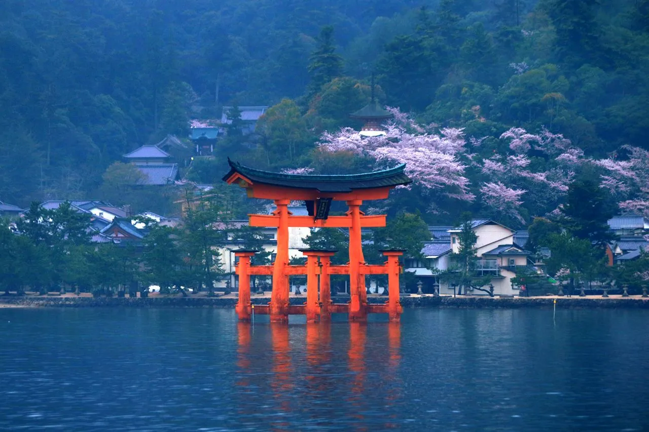 Itsukushima Shrine Sakura When 2024 Anime Maps   53530064F882436A80B16DC7F6828256 LL.webp